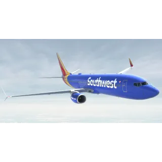 $100.00 SouthWest Airlines Auto Delivery 