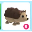 Hedgehog Ride R Adopt Me