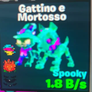 gattino e mortosso