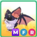 Kittybat MFR