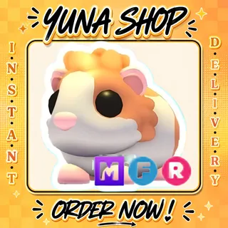 MFR RED DUTCH GUINEA PIG | ADOPT ME