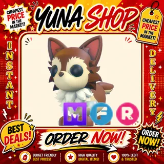 MFR CHIHUAHUA | ADOPT ME