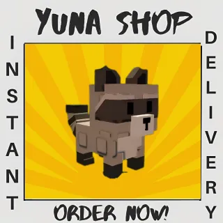 5X RACCOON - GROW A GARDEN