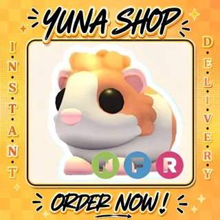 NFR RED DUTCH GUINEA PIG | ADOPT ME