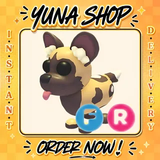 FR AFRICAN WILD DOG | ADOPT ME