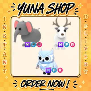 SPECIAL BUNDLE | ADOPT ME