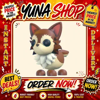 CHIHUAHUA | ADOPT ME