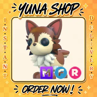 MFR CHIAHUAHUA | ADOPT ME