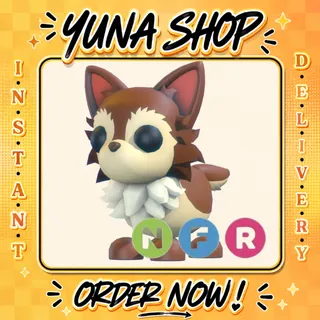NFR CHIAHUAHUA | ADOPT ME