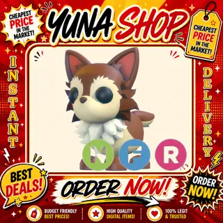 NFR CHIHUAHUA | ADOPT ME