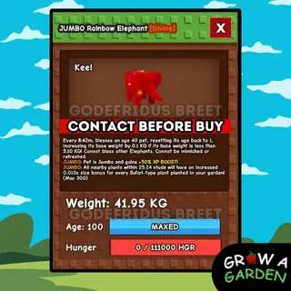 41KG RAINBOW HATCHED / RBH ELEPHANT