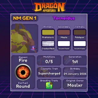 👑 TORNEIDUS | SUPERCHARGED 2026