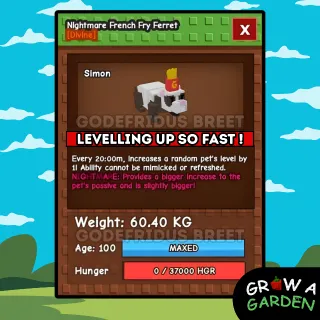 20 MINS - HUGE FRENCH FRY FERRET (60KG+)