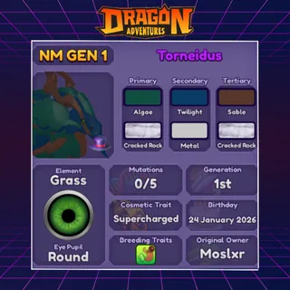 👑 TORNEIDUS | SUPERCHARGED 2026