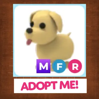 MFR DOG