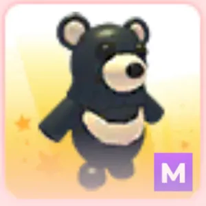 Black Moon Bear (M)