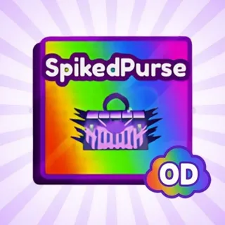 SPIKED PURSE- BADDIES