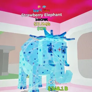 strawberry éléphant