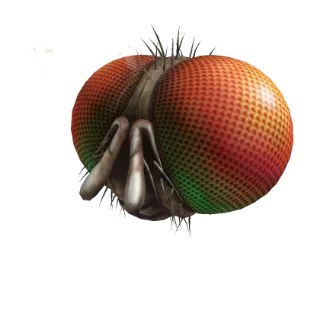 Freaky Fly Face - Avatar Accessory