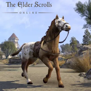 The Elder Scrolls Online Sungold Bay Thoroughbred Mount