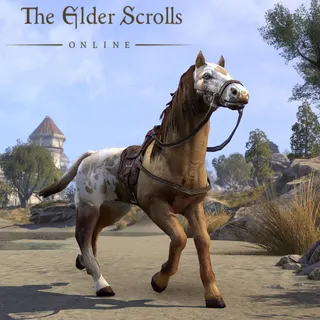 Elder Scrolls Online - Sungold Bay Thoroughbred Mount