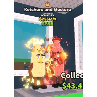 Ketchuru and Musturu > 255 M/S