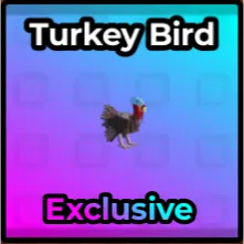 TURKEY BIRD RAISE ANIMALS