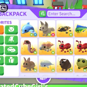 neon pet pack