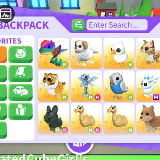 neon  pet pack