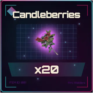 Candleberries - Arc Raiders