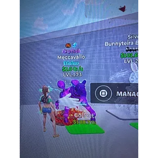Pet
