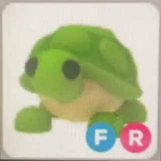 ADOPT ME turtle