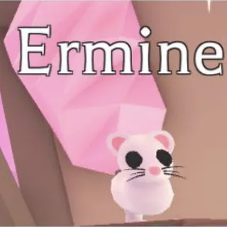 Pet | 2x Ermine