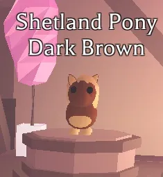 Adopt Me Pet | 4x Shetland Pony Dark brown