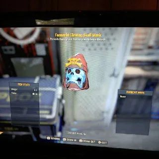 Glowing Skull Mask