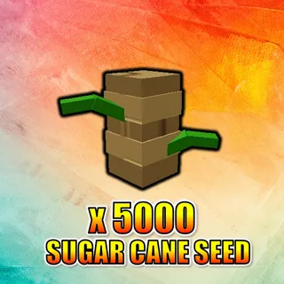 Sugar Cane Seed