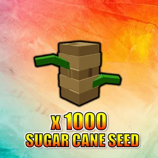 Sugar Cane Seed