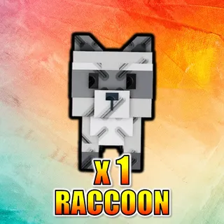 Raccoon