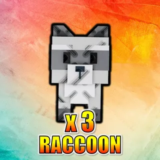 Raccoon