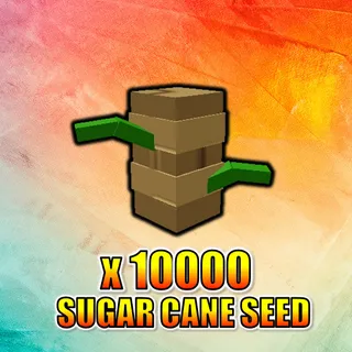Sugar Cane Seed