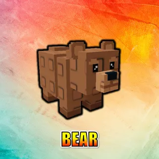 Bear