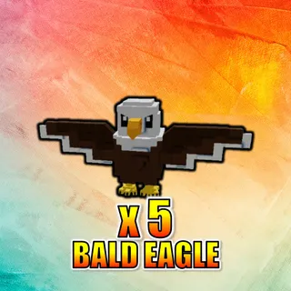 Bald Eagle