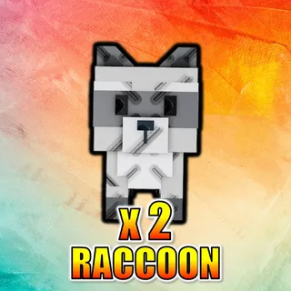 Raccoon