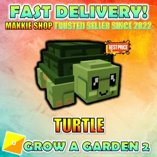 x6 Turtle