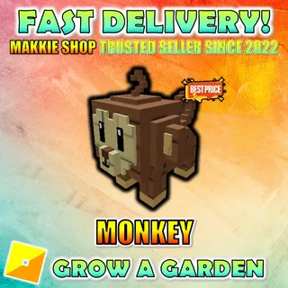 Monkey