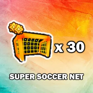 Super Soccer Net