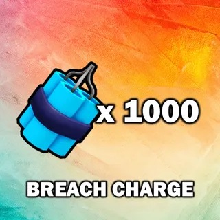 Breach Charge