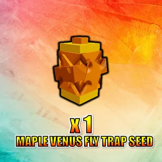 Maple Venus Fly Trap Seed