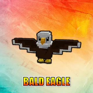 Bald Eagle
