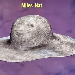 Miles' Hat - New Misc Item